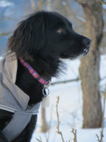 roxy 3 20130221 1062782414 roxy 3 20130221 1062782414