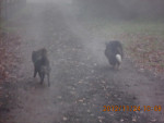 ultimo 3 20121127 1934609054
