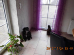 ultimo 6 20121127 2018600580