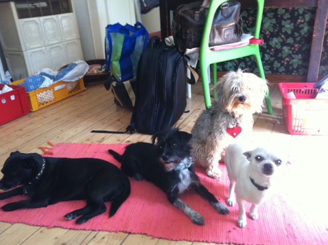 zara 1 20110719 1126385158 zara 1 20110719 1126385158