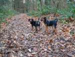 dhani 7 20120111 1207162128 dhani 7 20120111 1207162128