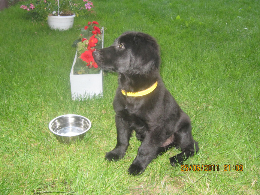 felipe 2 20110629 1410831827 felipe 2 20110629 1410831827