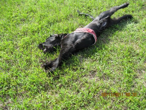 felipe 2 20110823 1393080946 felipe 2 20110823 1393080946