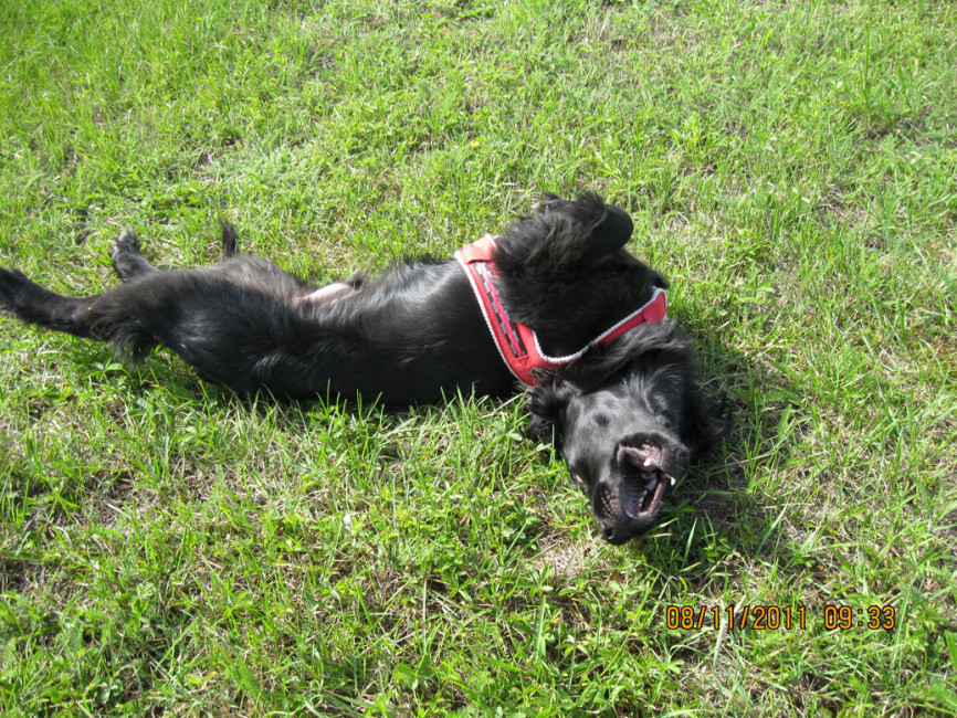 felipe 2 20111018 1498117791 felipe 2 20111018 1498117791