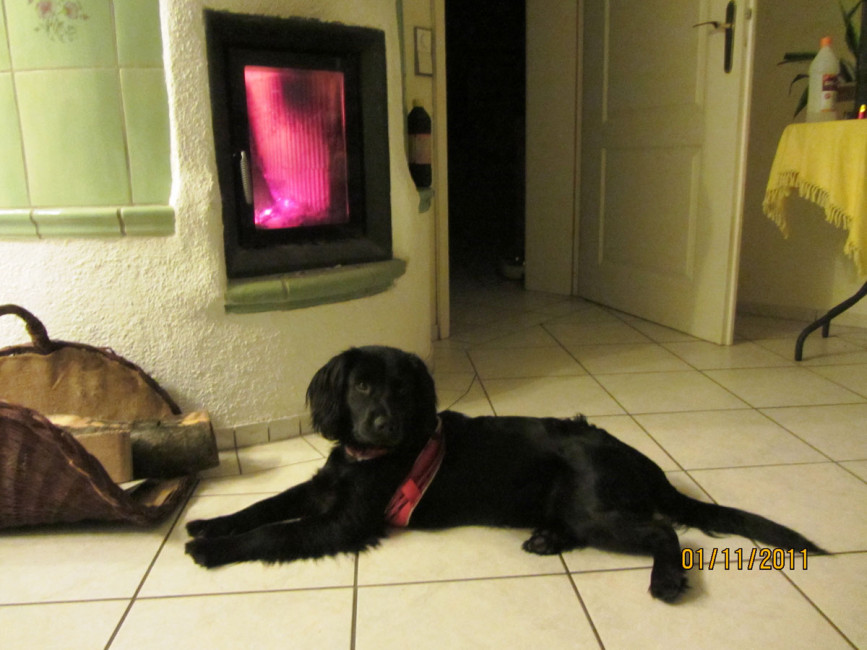 felipe 2 20111117 1772886718 felipe 2 20111117 1772886718