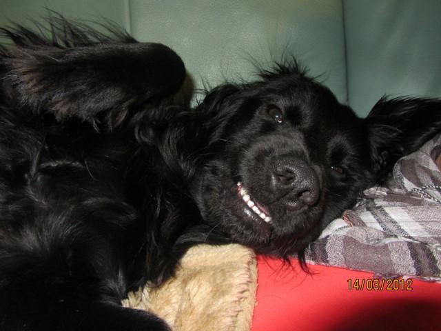 felipe 2 20120316 1900702761 felipe 2 20120316 1900702761