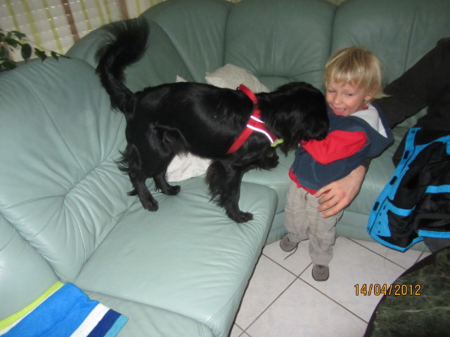 felipe 2 20120608 1638158825 felipe 2 20120608 1638158825