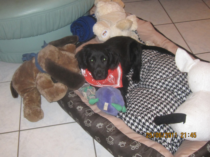 felipe 3 20110629 1414716396 felipe 3 20110629 1414716396