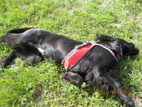 felipe 3 20110823 1910904935 felipe 3 20110823 1910904935