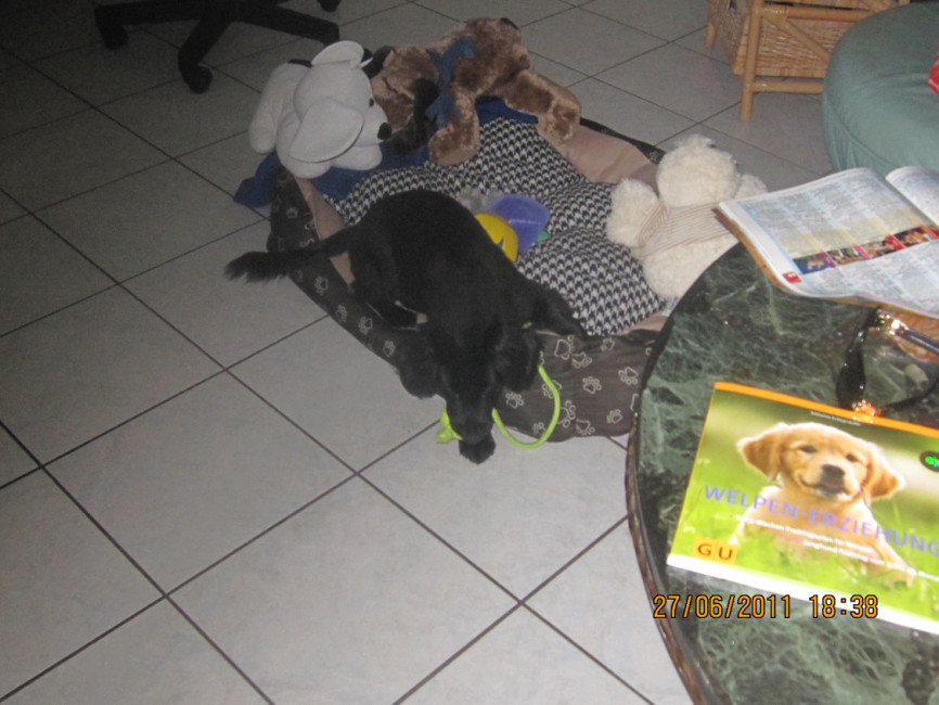 felipe 4 20110629 1795911322 felipe 4 20110629 1795911322