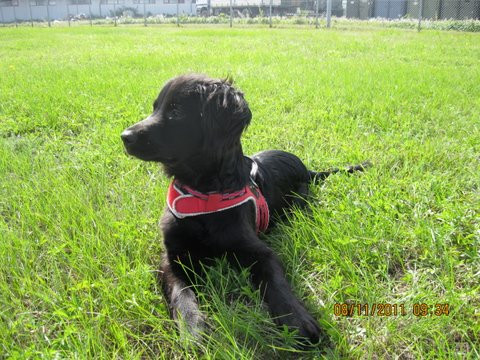 felipe 4 20110823 1373086901 felipe 4 20110823 1373086901