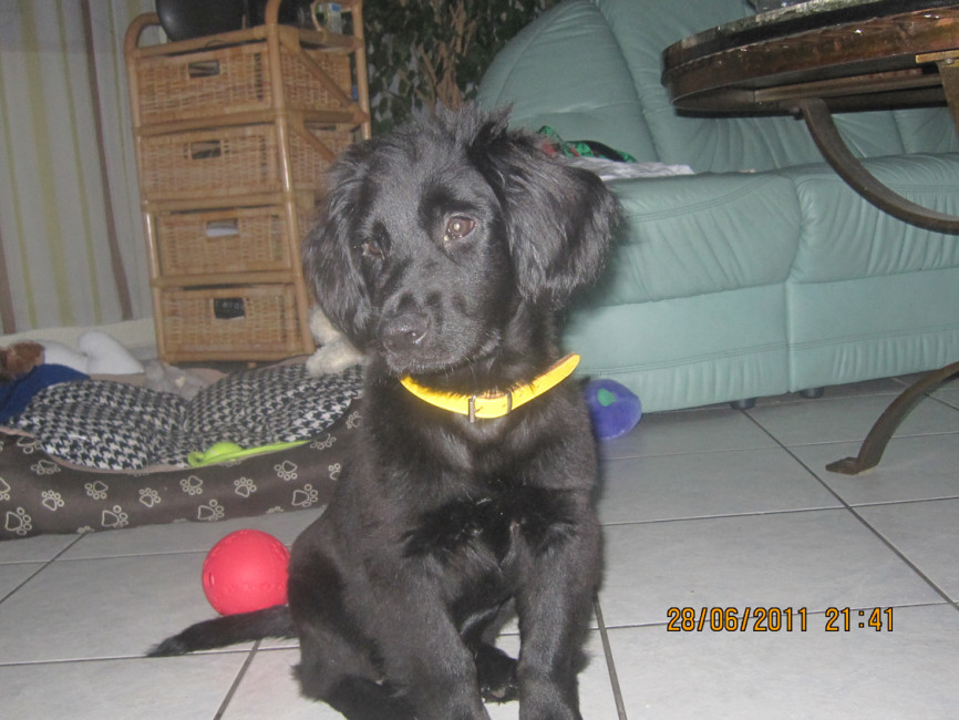 felipe 6 20110629 1967734307 felipe 6 20110629 1967734307