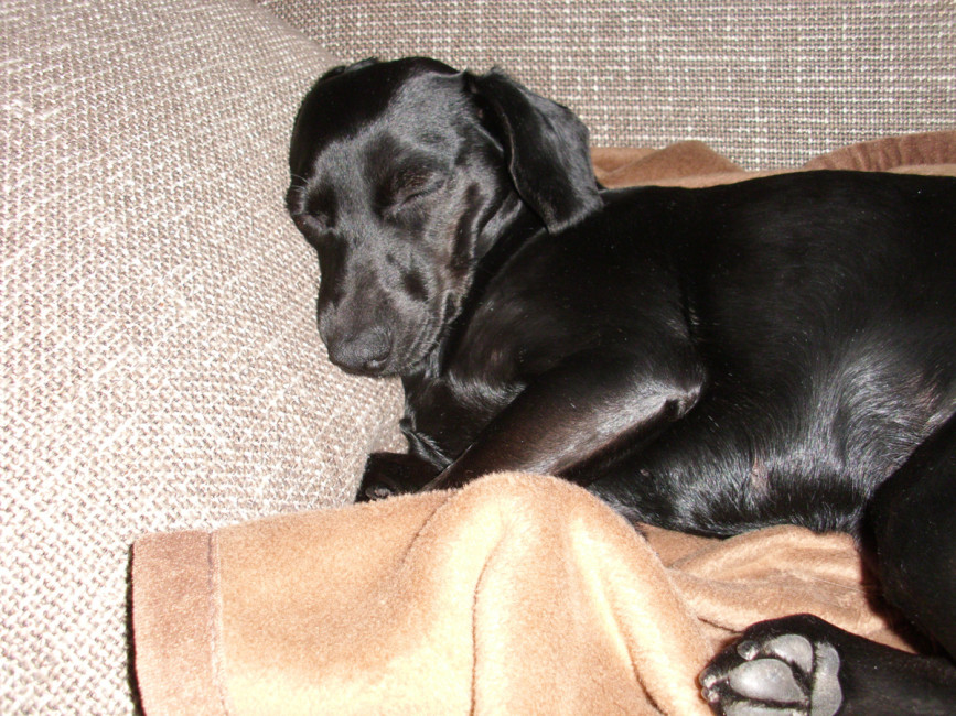 jena 2 20120229 1237548415 jena 2 20120229 1237548415