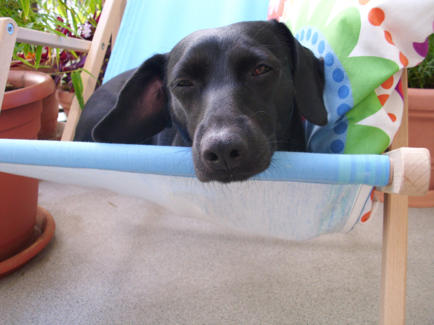 jena 2 20120822 1396592981 jena 2 20120822 1396592981