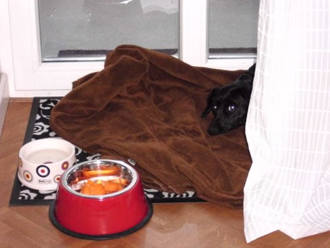 jena 3 20120115 1462712668 jena 3 20120115 1462712668