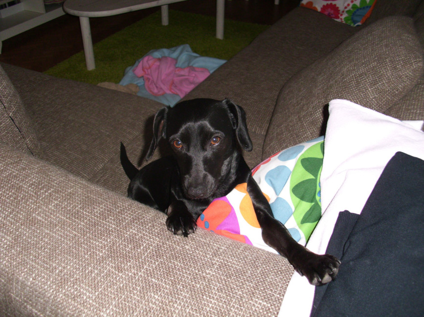 jena 3 20120229 2071272381 jena 3 20120229 2071272381