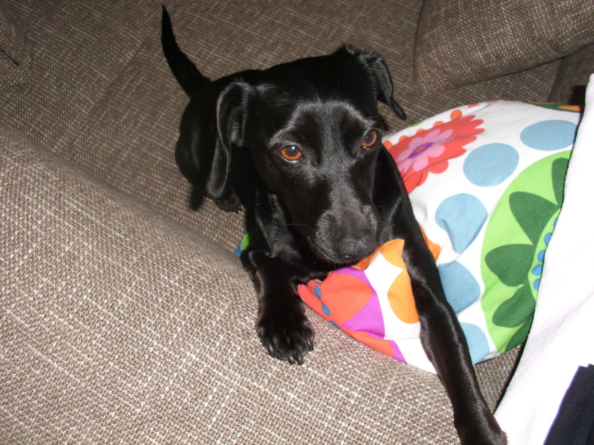 jena 4 20120229 1054207237 jena 4 20120229 1054207237