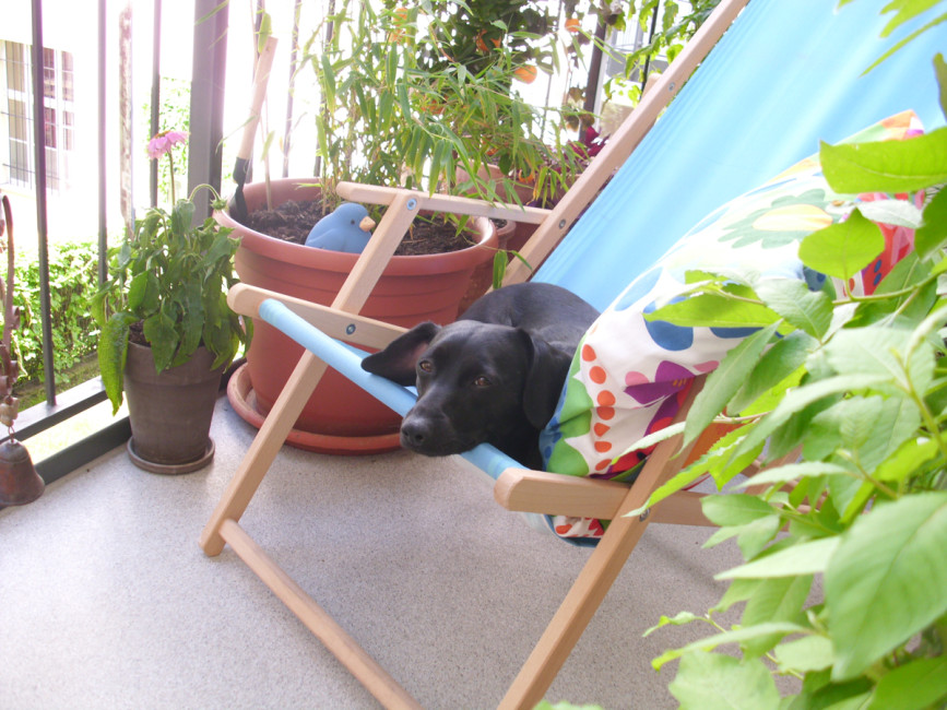 jena 5 20120822 1357639332 jena 5 20120822 1357639332