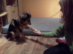 katalina 2 20111225 1692057973 katalina 2 20111225 1692057973