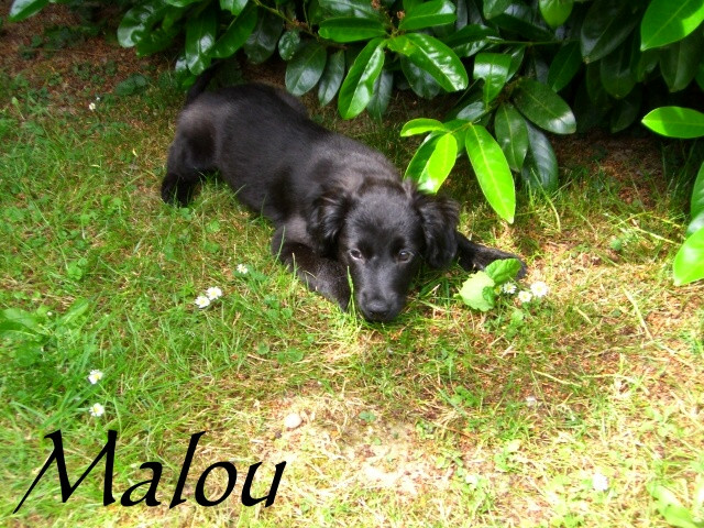 letizia 4 20110531 1015839772 letizia 4 20110531 1015839772