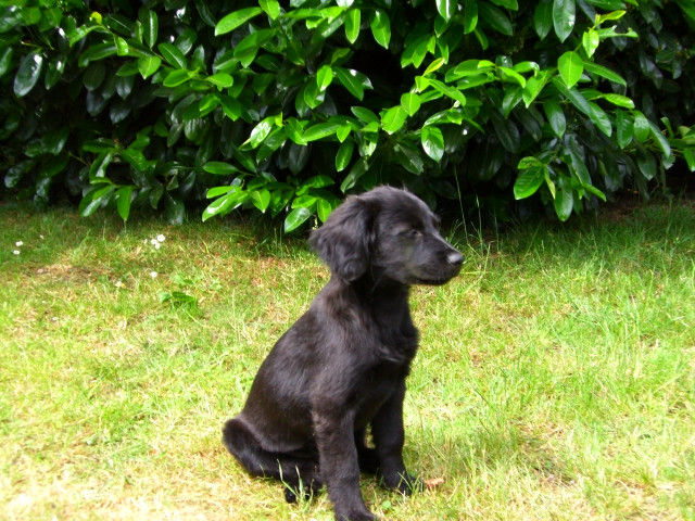 letizia 6 20110531 1725419775 letizia 6 20110531 1725419775