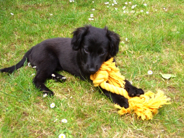 letizia 7 20110531 1821387147 letizia 7 20110531 1821387147