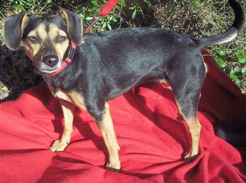 lily 2 20120312 1330920238