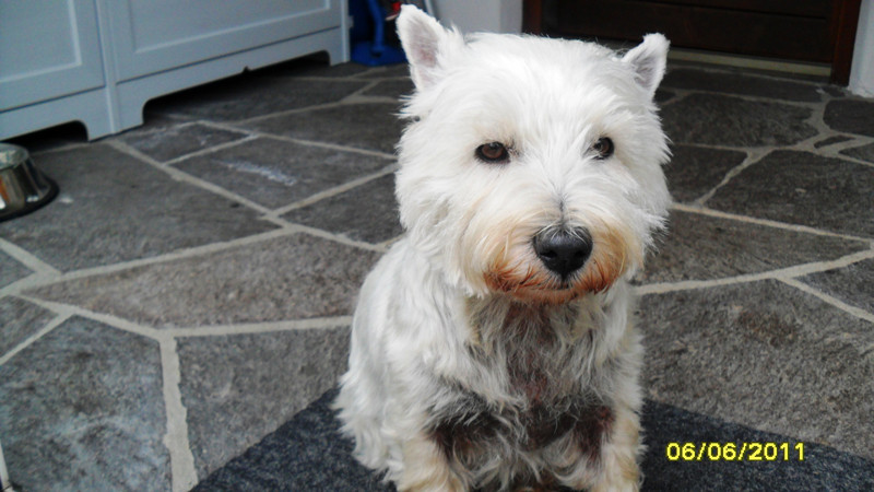 lynda 2 20110614 1019285913 lynda 2 20110614 1019285913