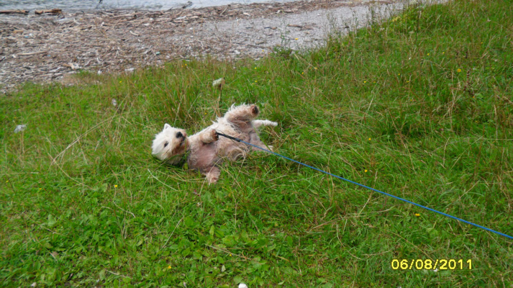 lynda 2 20111018 1073662645 lynda 2 20111018 1073662645