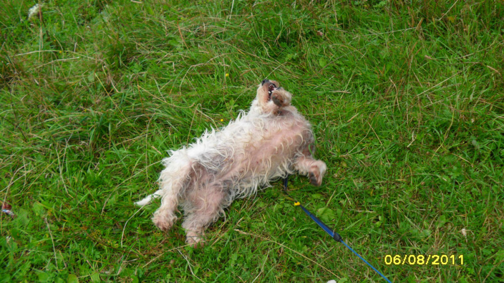 lynda 3 20111018 1782090793 lynda 3 20111018 1782090793