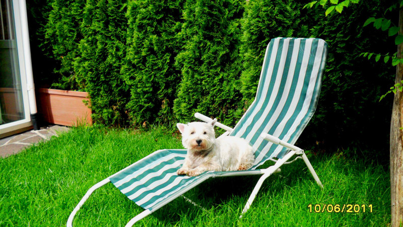 lynda 4 20110614 2002698053 lynda 4 20110614 2002698053