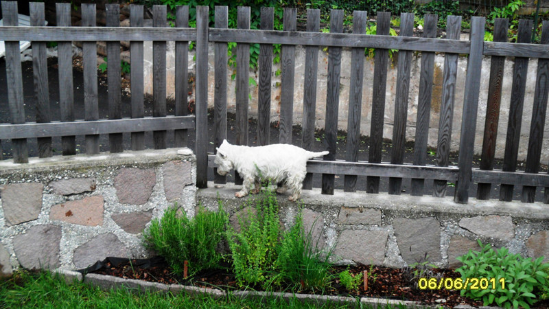 lynda 5 20110614 1574775420 lynda 5 20110614 1574775420