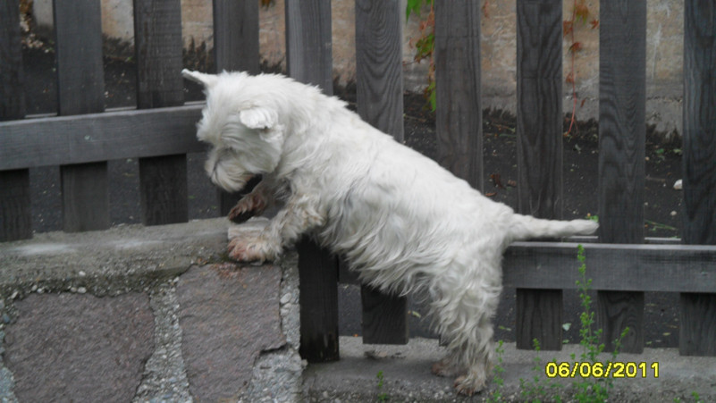 lynda 6 20110614 1830381509 lynda 6 20110614 1830381509