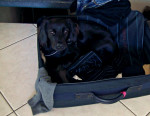 malou 10 20120508 1597608432 malou 10 20120508 1597608432