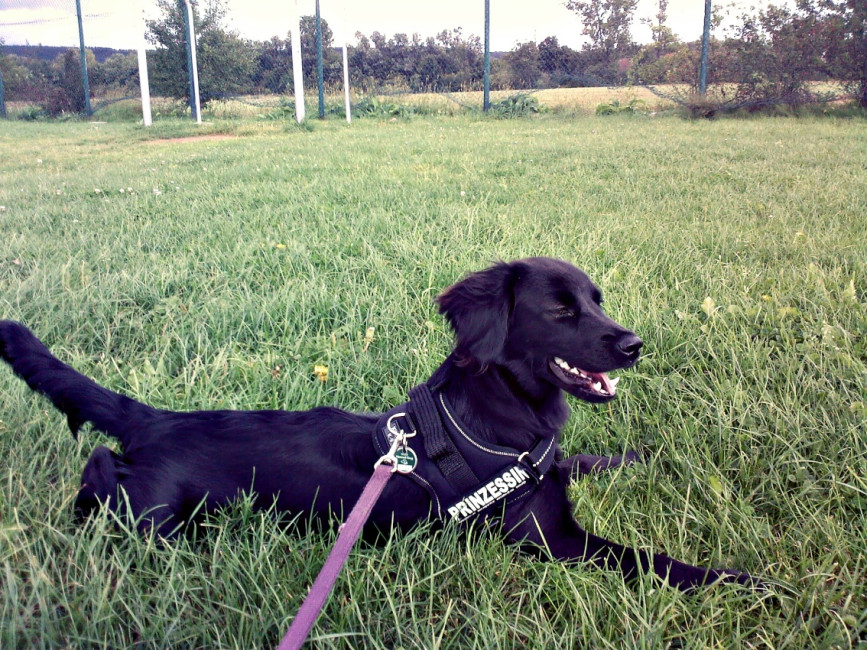 malou 1 20120508 1043858401 malou 1 20120508 1043858401