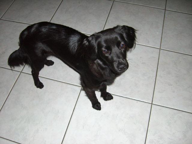 malou 2 20120508 1712816766 malou 2 20120508 1712816766