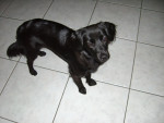 malou 2 20120508 1712816766 malou 2 20120508 1712816766