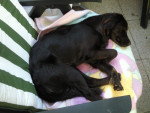 malou 3 20120508 1813267311 malou 3 20120508 1813267311