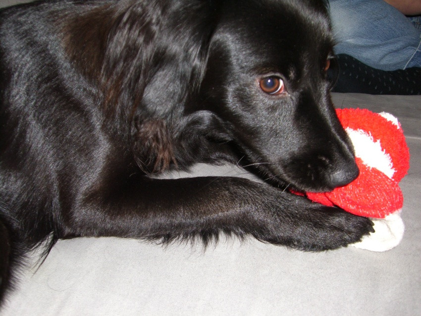 malou 3 20120508 1967871529 malou 3 20120508 1967871529