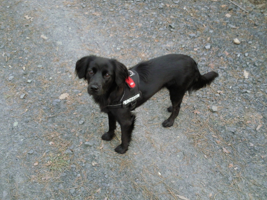 malou 4 20120508 1781317564 malou 4 20120508 1781317564