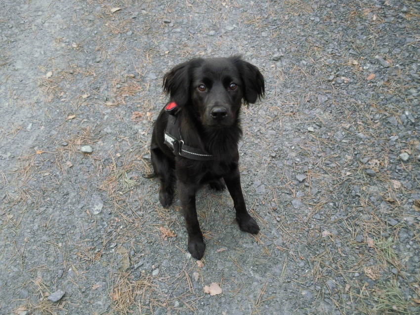 malou 5 20120508 1088233813 malou 5 20120508 1088233813