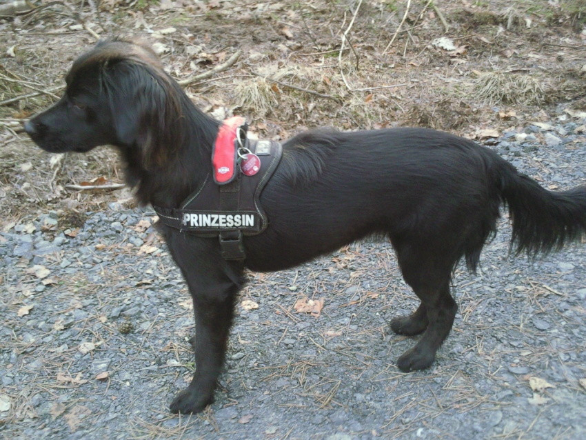 malou 6 20120508 1389407723 malou 6 20120508 1389407723