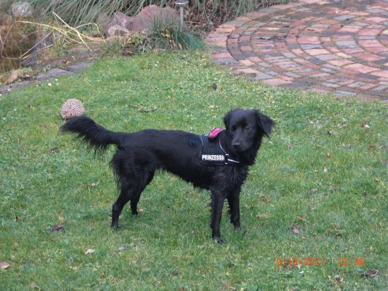 malou 8 20120508 1635104910 malou 8 20120508 1635104910