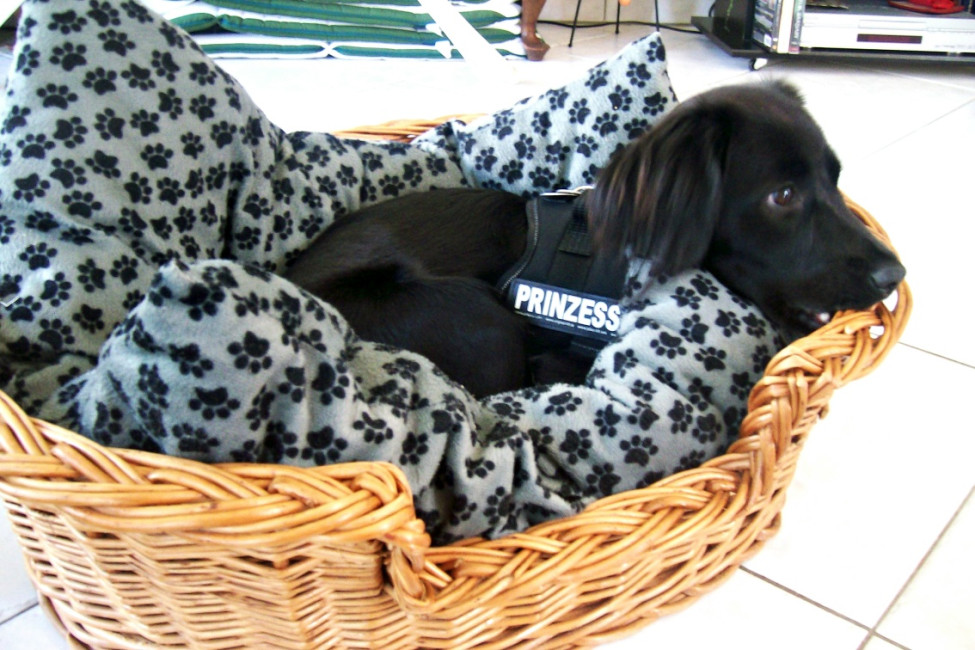 malou 9 20120508 1018785107 malou 9 20120508 1018785107