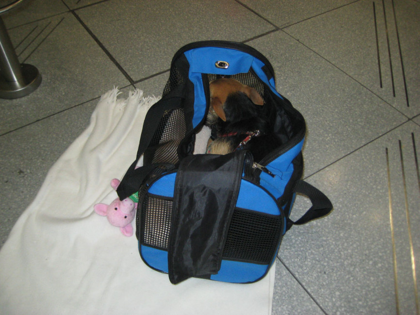 marco 10 20120103 1507701425 marco 10 20120103 1507701425