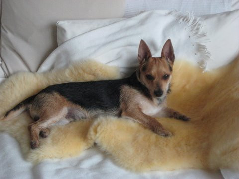 marco 7 20120103 1195113207 marco 7 20120103 1195113207