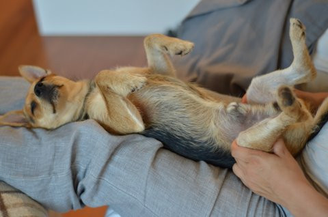 marco 8 20120103 1069206047 marco 8 20120103 1069206047