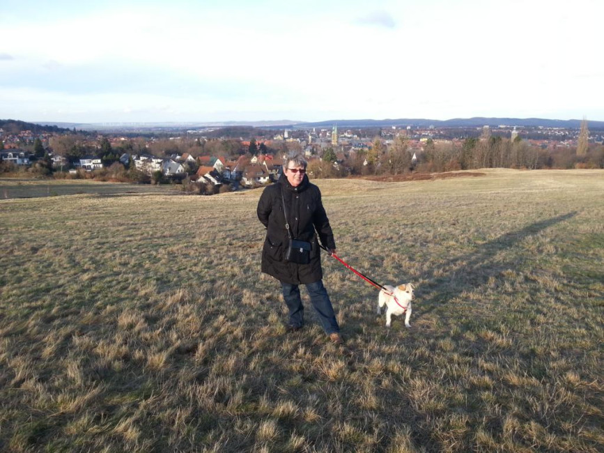 molly 2 20121231 1515370378