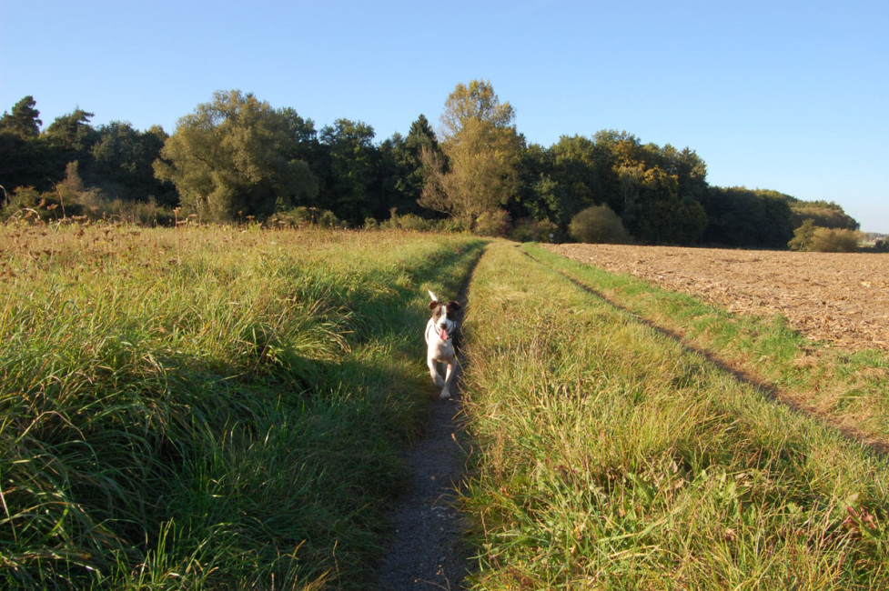 munito 5 20120119 1359985914 munito 5 20120119 1359985914