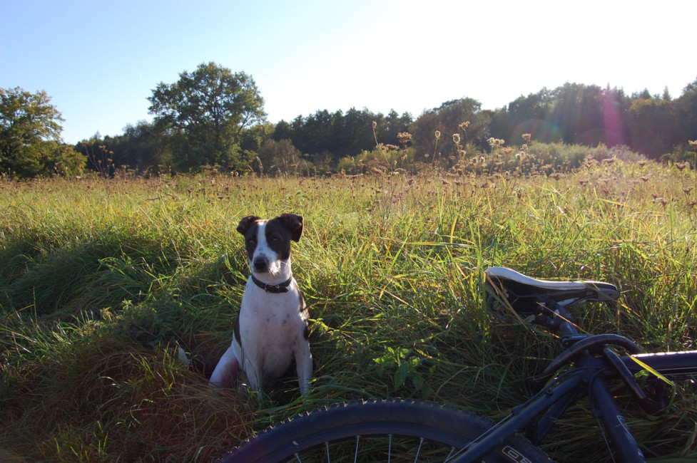 munito 6 20120119 1562412530 munito 6 20120119 1562412530